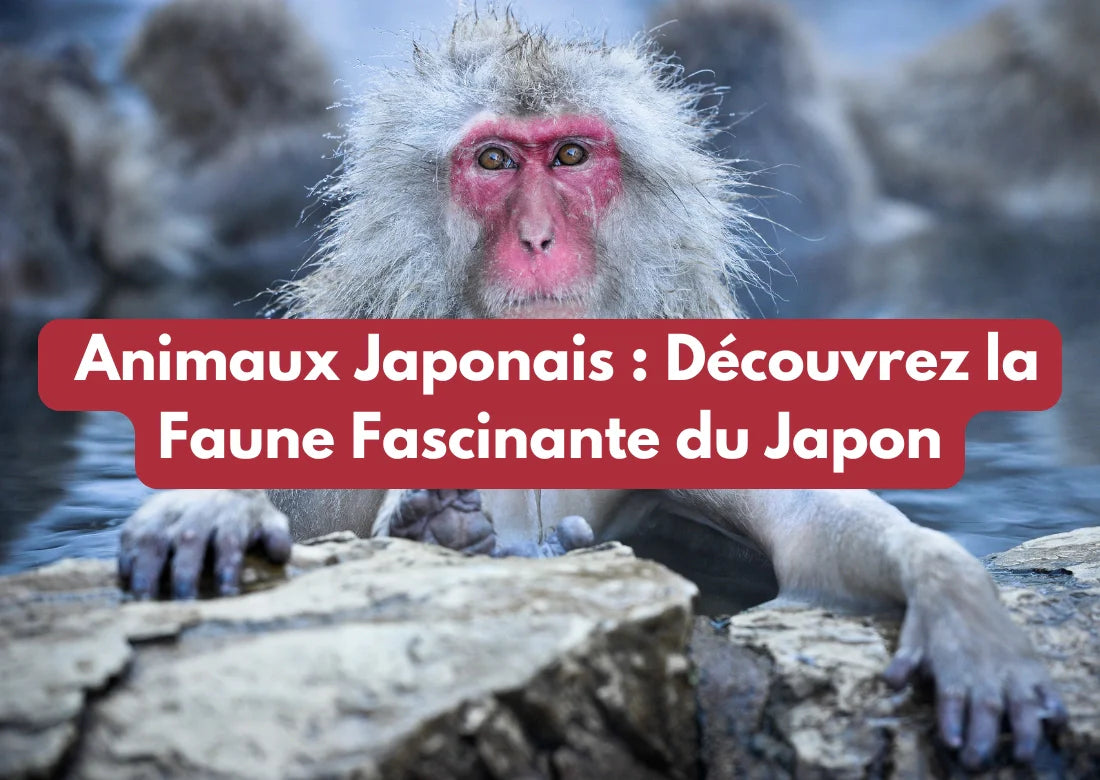 đŸ Animaux Japonais : DĂ©couvrez la Faune Fascinante du Japon