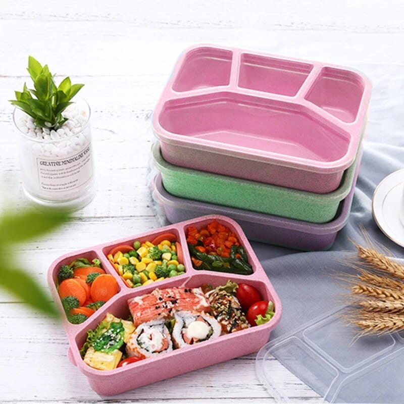 Bento Boite a Lunch