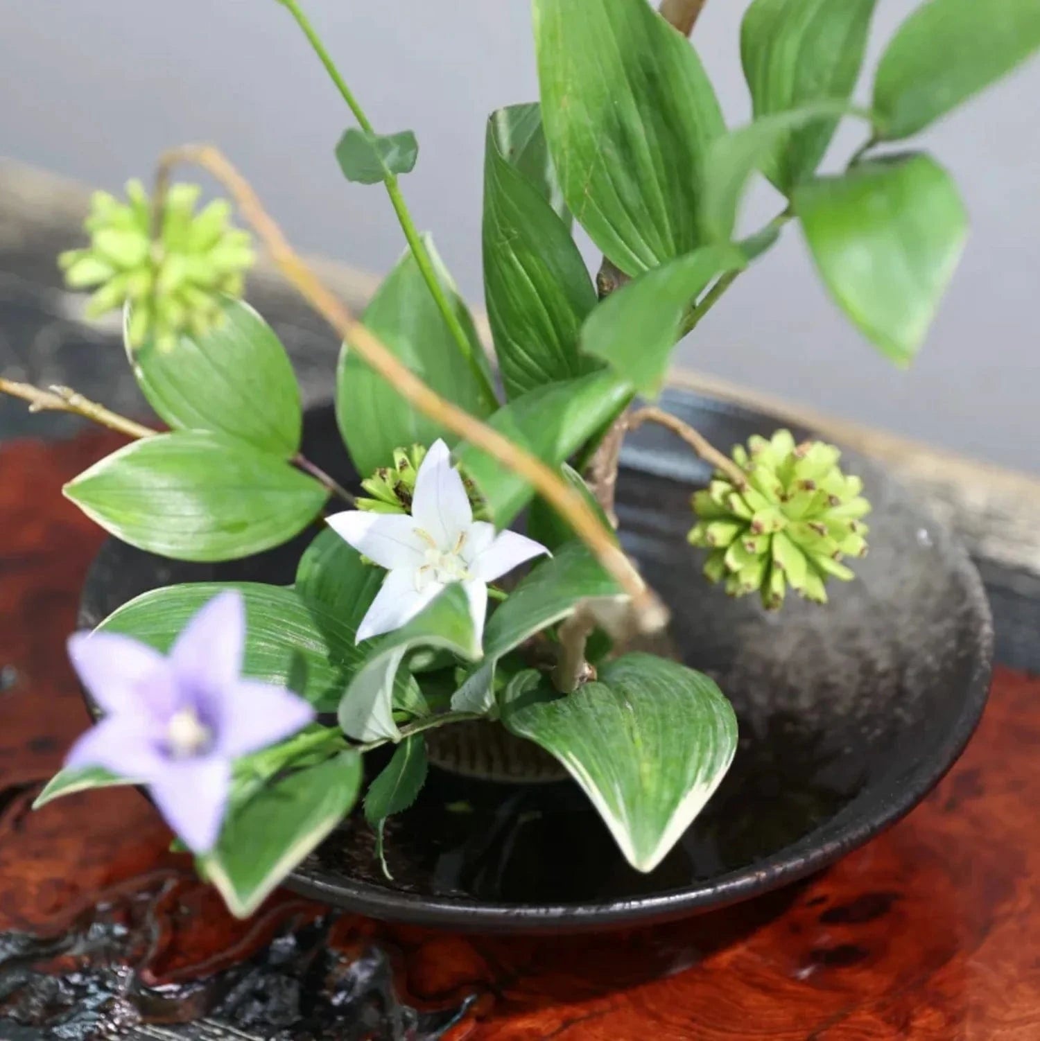 Vase ikebana moribana noir