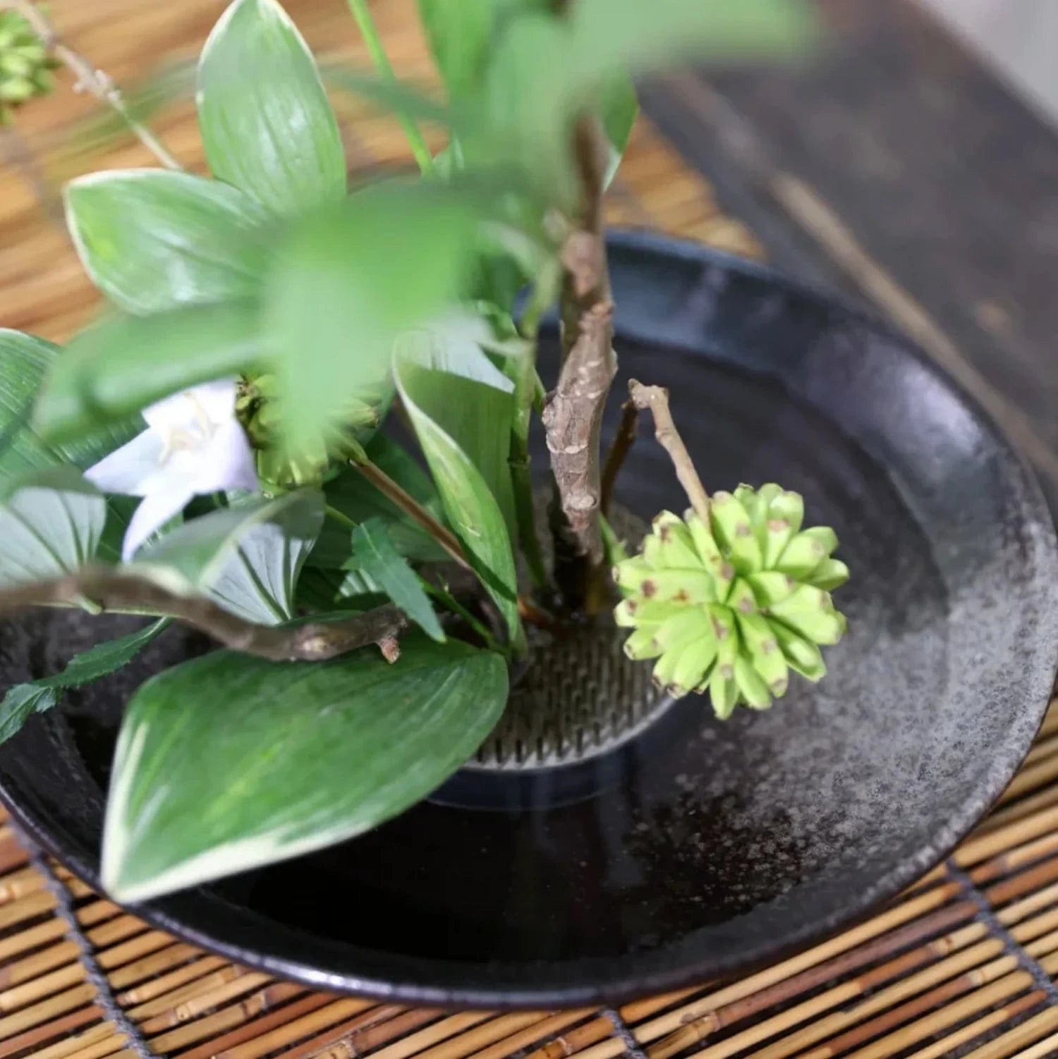 Vase ikebana moribana noir