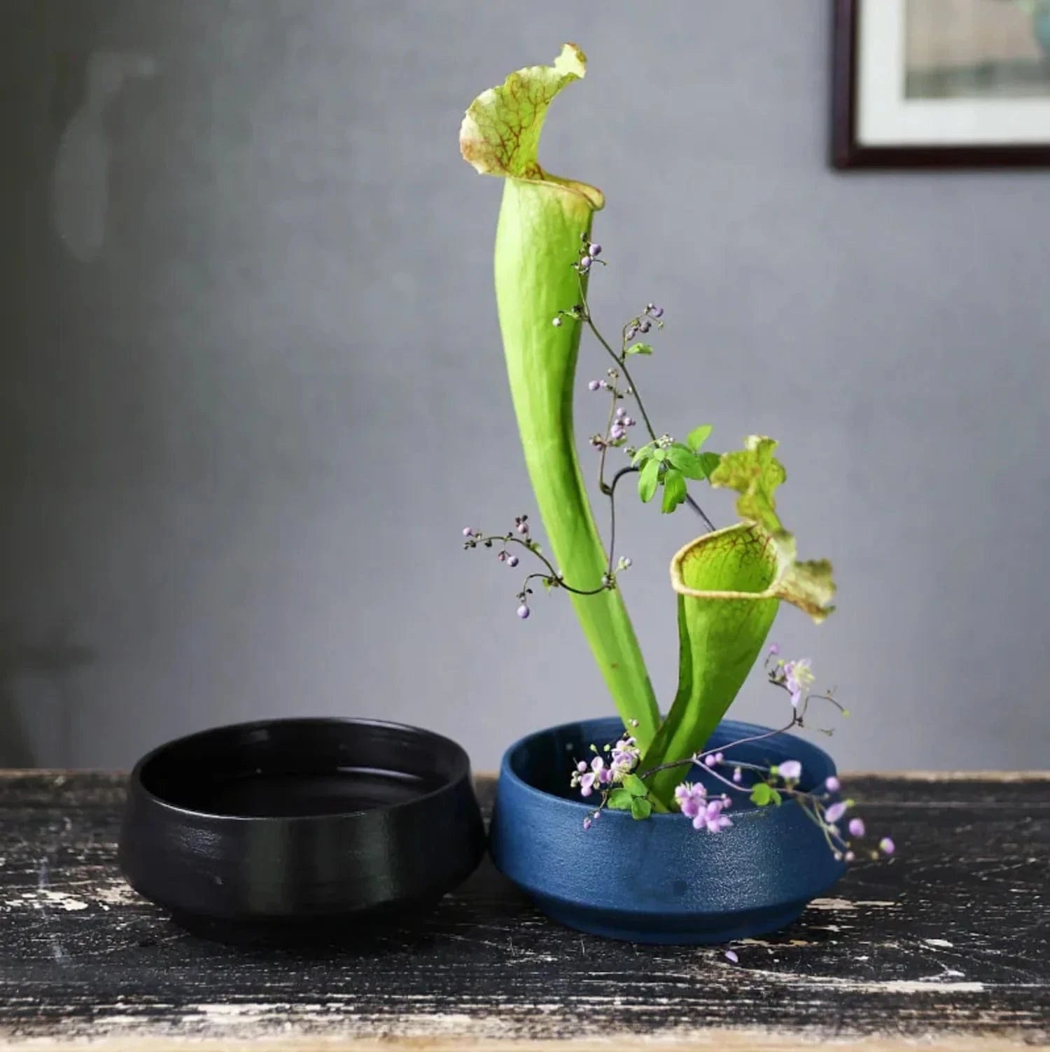 Vase ikebana rond bleu