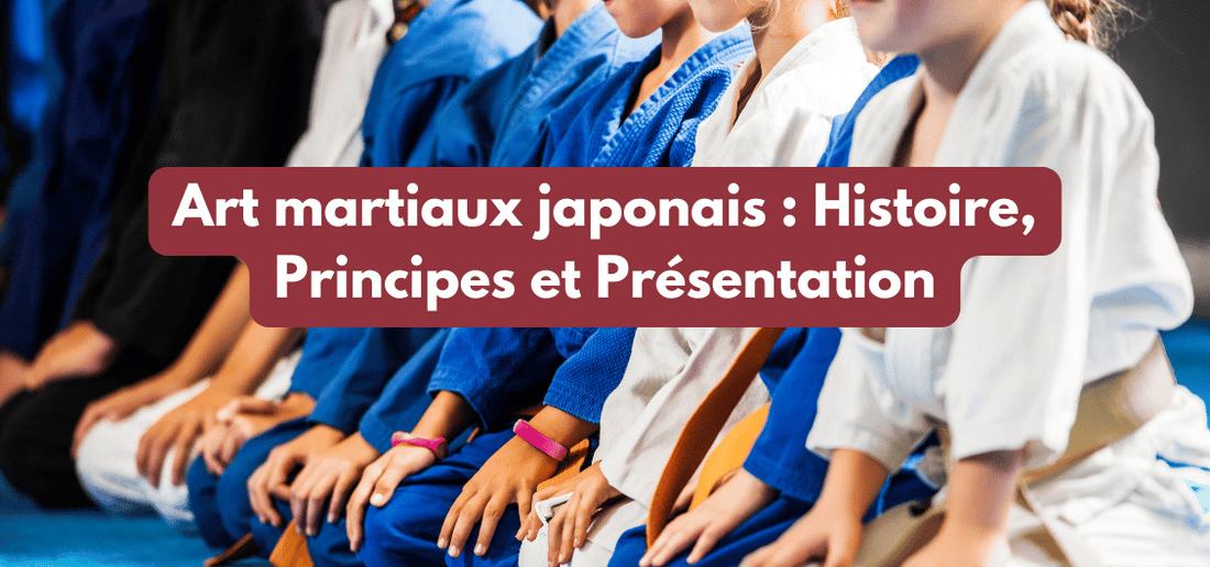 Art martiaux japonais : Histoire, Principes et Présentation