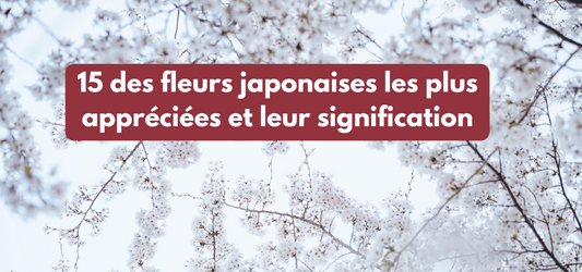 15 des fleurs japonaises les plus appréciées et leur signification