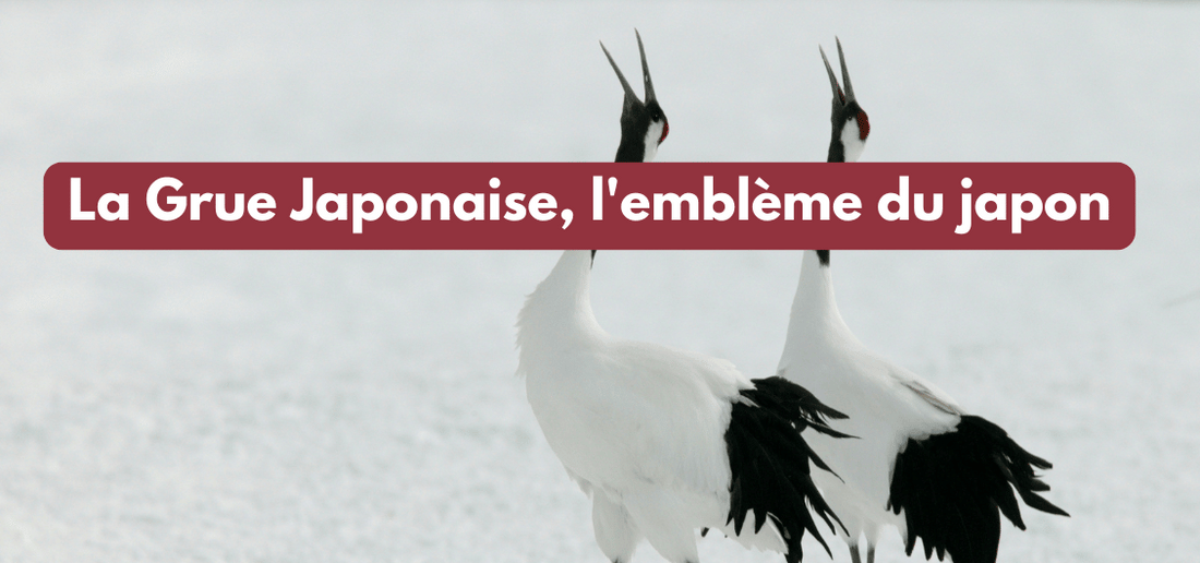 La Grue Japonaise, l'emblème du japon