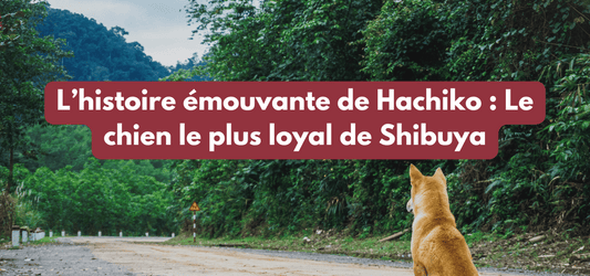 L’histoire émouvante de Hachiko : Le chien le plus loyal de Shibuya