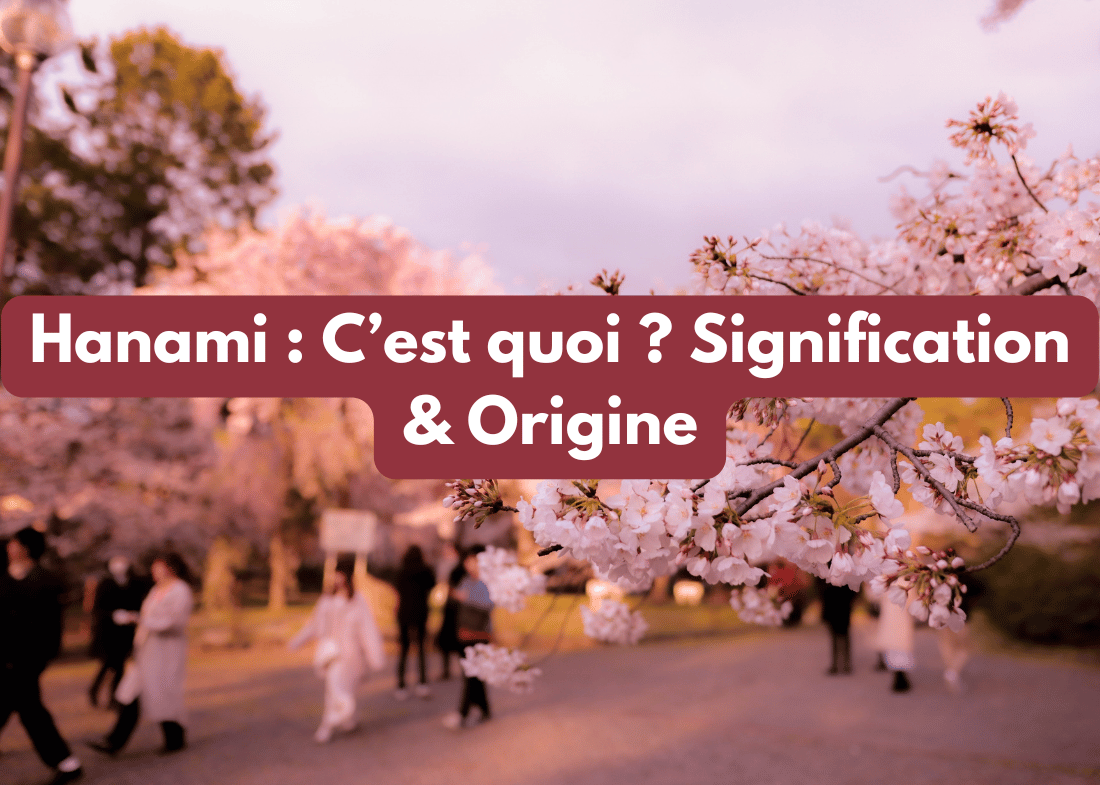 Hanami : C’est quoi ? Signification & Origine – Ryojin