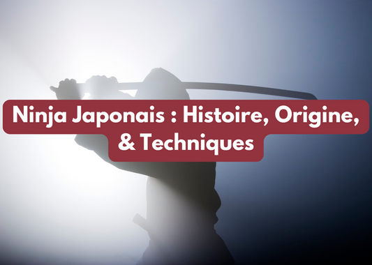 Ninja Japonais : Histoire, Origine, & Techniques