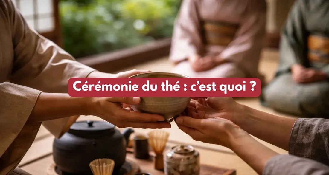 Cérémonie du thé : c’est quoi ? Origine et rituel japonais