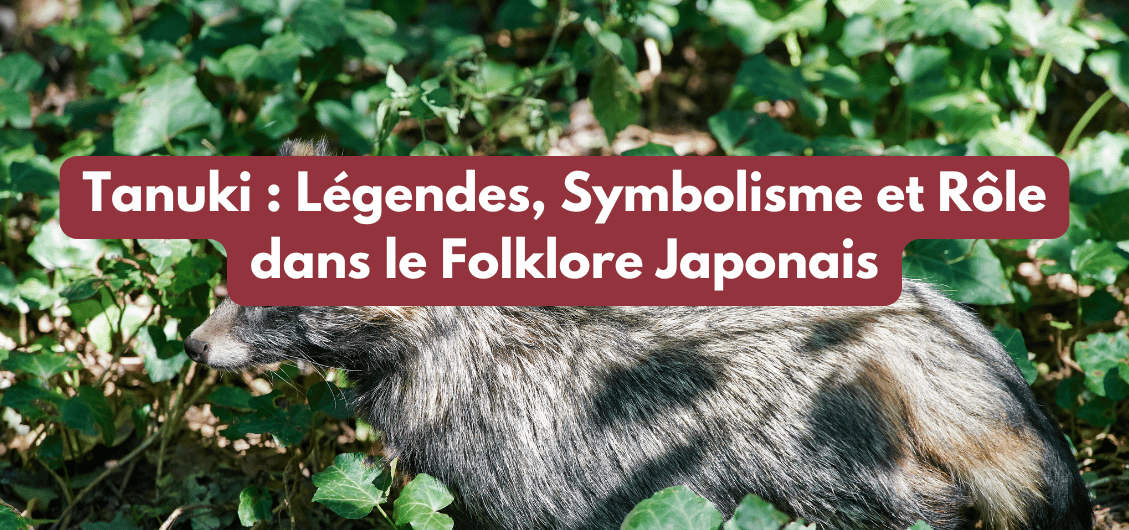 Tanuki : Légendes, Symbolisme et Rôle dans le Folklore Japonais – Ryojin