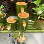 Fontaine Japonaise Bambou Sans Pompe